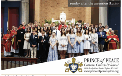1 June 2025 Bulletin